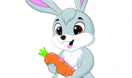 有关兔子的动漫,兔子的奇幻冒险之旅