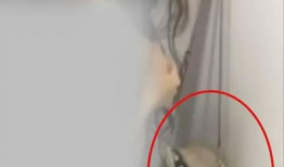 美女啪啪啪视频,揭秘美女啪啪啪视频背后的故事